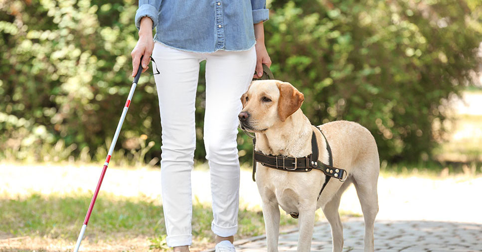 Vrouw met stok en geleidehond