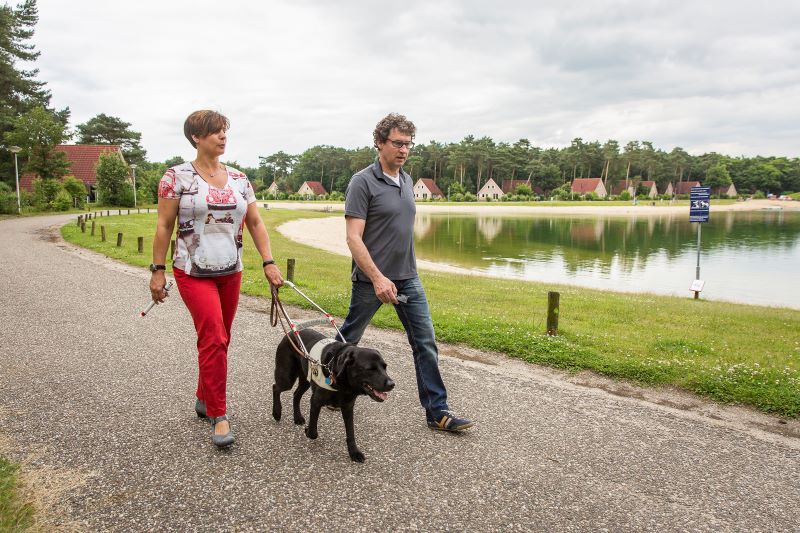 Foto van een wandelende man en blinde vrouw met hulphond 