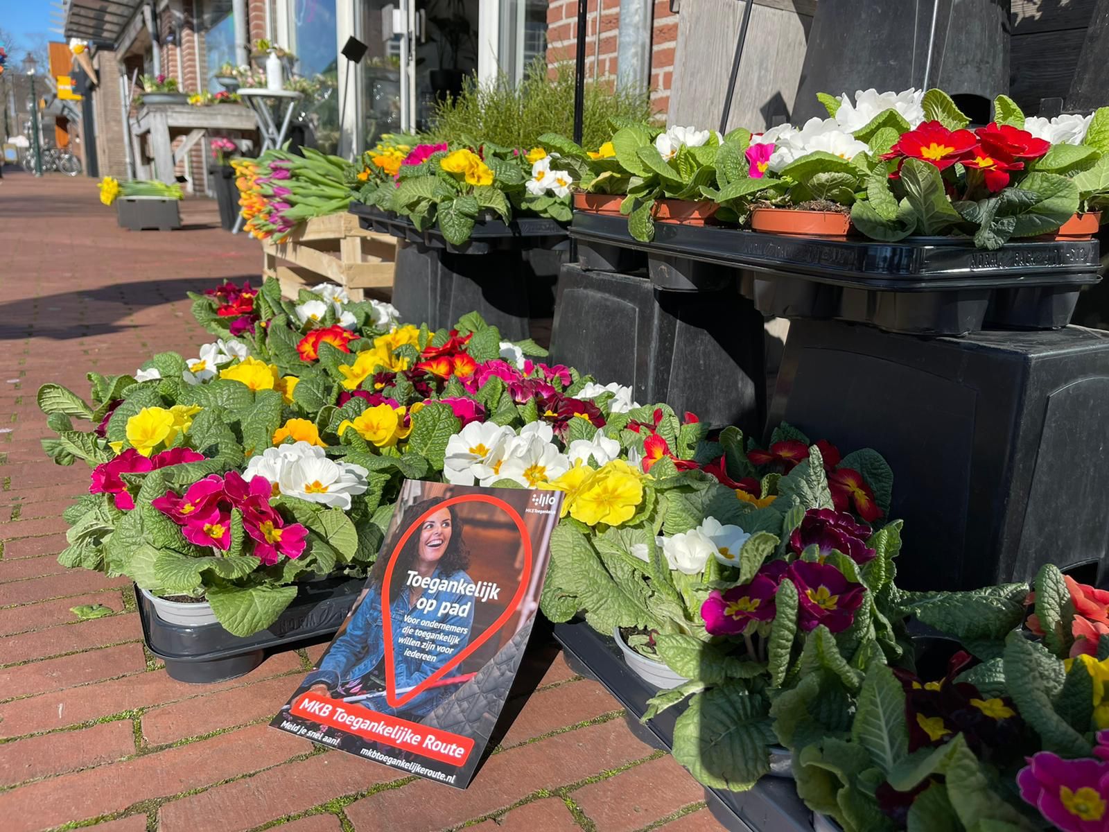 Foto van een voorgevel van een bloemenzaak waar verschillende soorten en kleuren bloemen voor staan